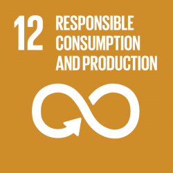 Goal 12 Responsible Consumption and Production